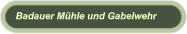 Badauer Mühle und Gabelwehr